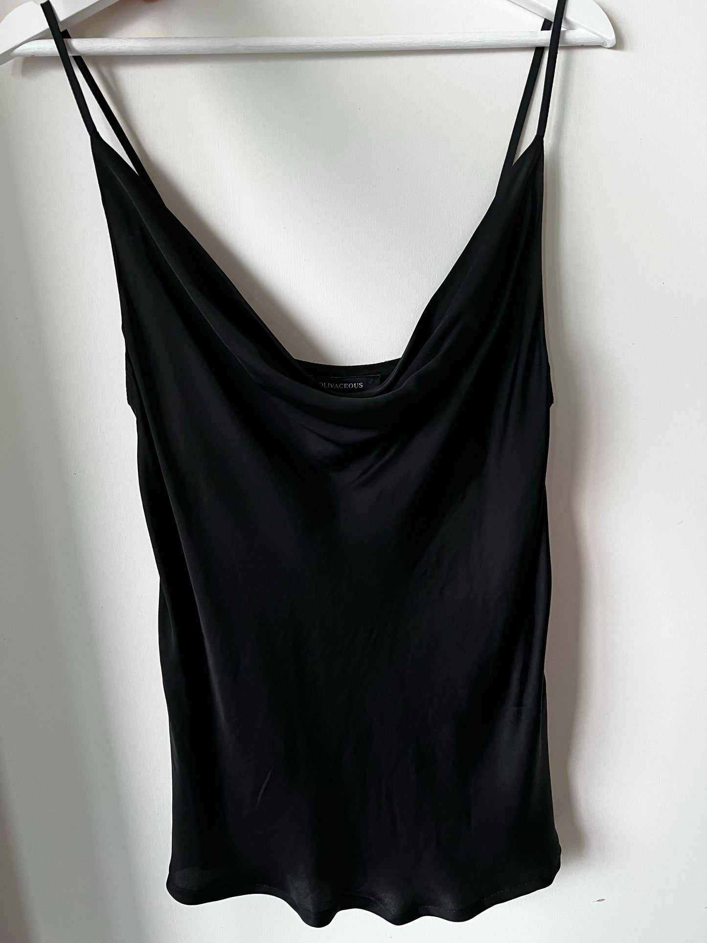 Black Swan Top